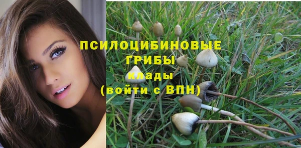 первитин Алексеевка