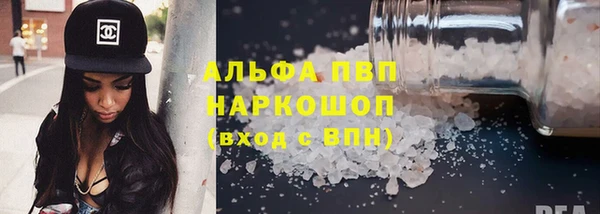 СК Алексин