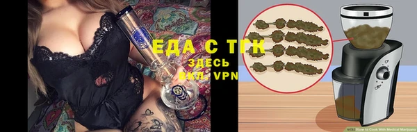 индика Алзамай