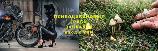 СК Алексин