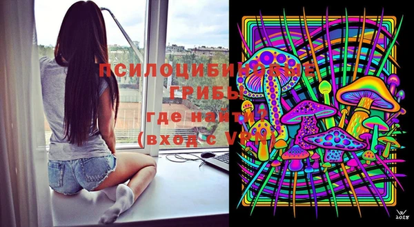 индика Алзамай